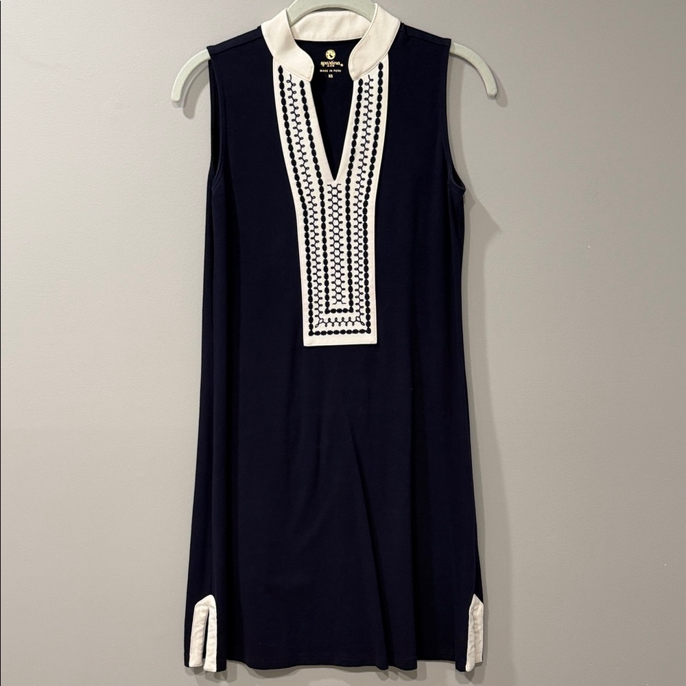 Navy and White Sleeveless Dress